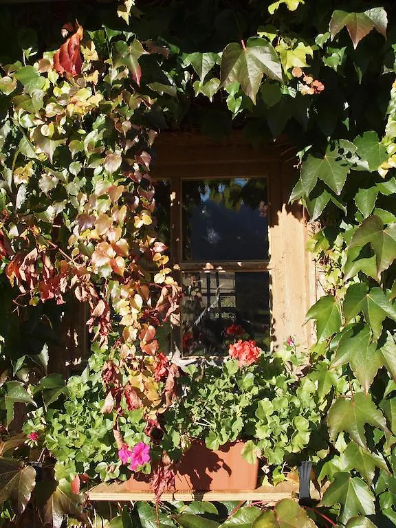 Alpenresidenz Chiemgau Apartment Schleching